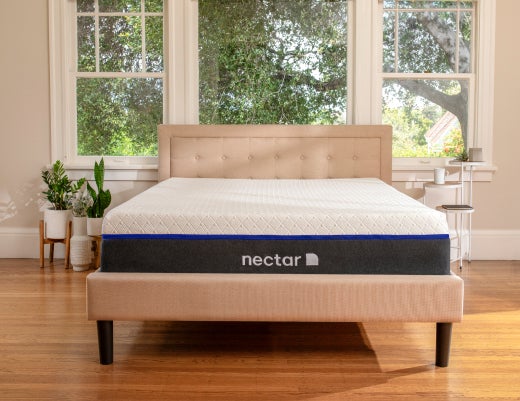nectar mattress near me